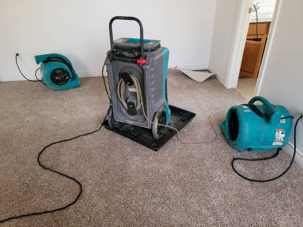 Best Emergency water damage restoration  in Greenbriar, FL