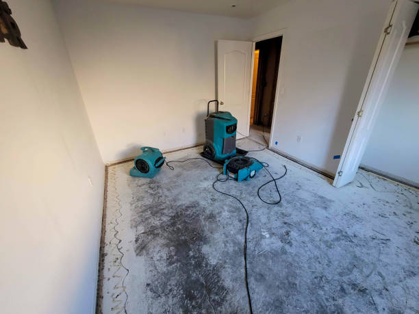 Best Flood restoration services  in Greenbriar, FL