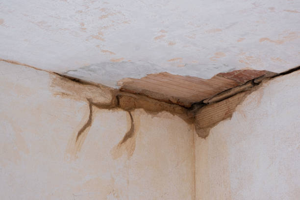 Professional Water damage restoration in Greenbriar, FL