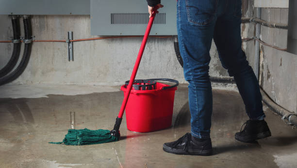 Water damage restoration process in Greenbriar, FL