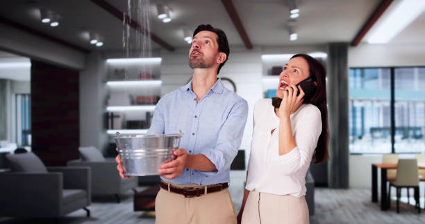 Best Basement water damage restoration  in Greenbriar, FL