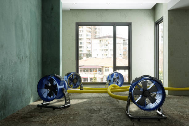 Best 24/7 water damage repair  in Greenbriar, FL