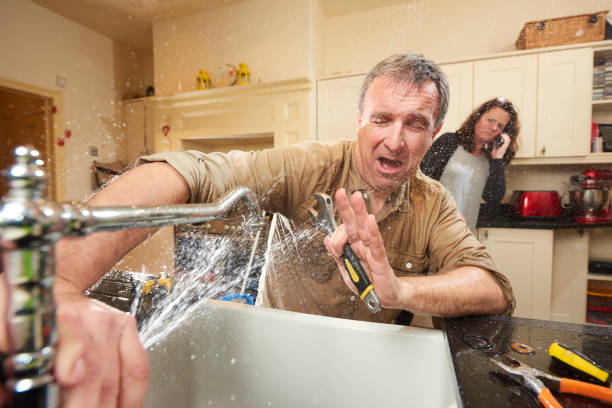Best Sewage cleanup and water damage restoration  in Greenbriar, FL
